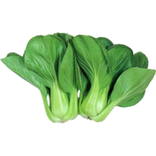 Chinese Cabbage, Pak Choi - White Stem