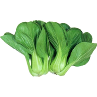 Chinese Cabbage, Pak Choi - White Stem