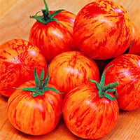 Tomato- Red Boar