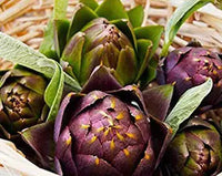 Artichoke- Purple Headed