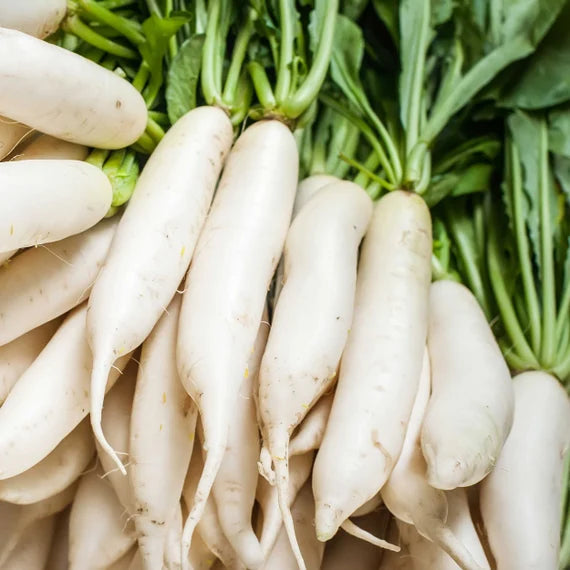 Radish Japani White Vegetable Seeds