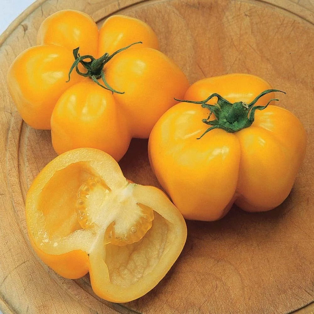 Tomato- Yellow Stuffer