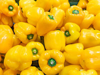 Bellpepper Mini Yellow Imported Vegetable Seeds