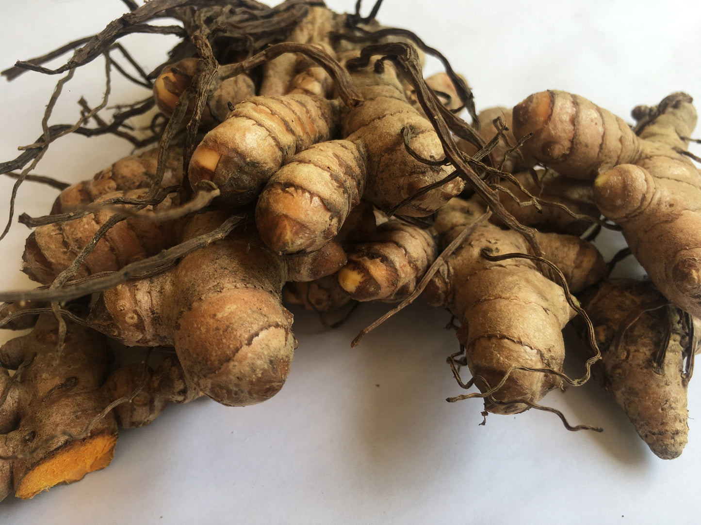 Turmeric (Rhizomes)