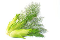 Fennel- Sweet