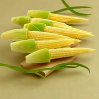 Baby Corn Hybrid Vegetable Seeds