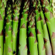 Asparagus- Connover's Colossal