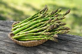 Asparagus- Mary Washington (Crown)