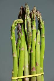 Asparagus- Mary Washington (Crown)