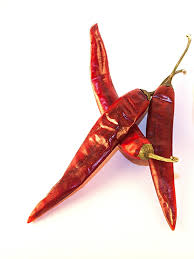 Chilli- Puya