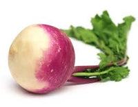 Turnip- Purple Top White Globe