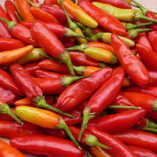 Chilli- Tabasco