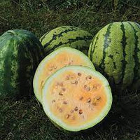 Watermelon- Clay County