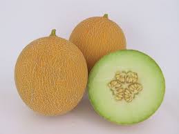 Arava – Organic Melon Seed