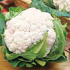 Cauliflower Snowball Vegetable Seeds