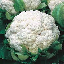 Cauliflower Hybrid Vegetable Seeds