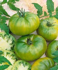 Tomato- Aunt Ruby's Green