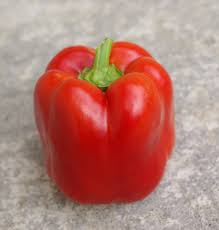 X3R Red Knight – Bell Pepper Seed