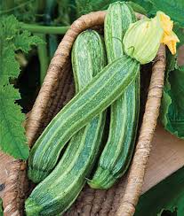 Zucchini- Lebanese