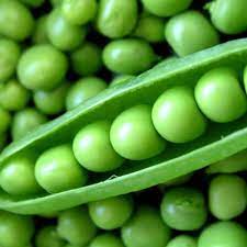 Peas Arkel Vegetable Seeds