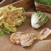 Bel Fiore – Radicchio Seed