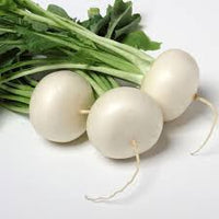 Radish White Round Organic Vegetable Seeds