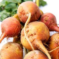 Boldor – Golden Beet – Seeds