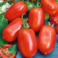 Tomato Roma Organic Vegetable Seeds