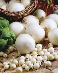 Onion White Globe Vegetable Seeds