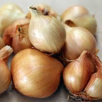 Golden Shallot ()