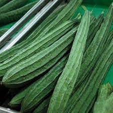 Ridge Gourd Hybrid Vegetable Seeds