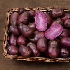 Adirondack Blue – Purple Seed Potatoes