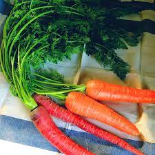 Carrot Selection Red Vegetable Seeds