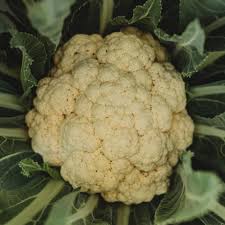 Amazing – Cauliflower Seed