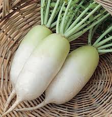 Alpine – Radish Seed