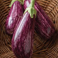 Annina – Organic Eggplant Seed