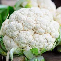 Cauliflower Snowball Vegetable Seeds