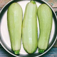 Zucchini- Lebanese