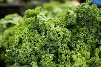 Westlandse Winter – Organic Kale Seed