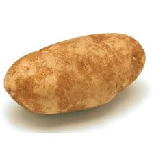 Certified Seed Potato- Russet Burbank