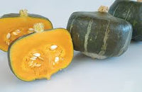 Bonbon – Treated Buttercup Squash Seed