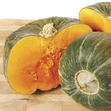 Black Forest – Organic Kabocha Squash Seed