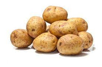 Certified Seed Potato- Sebago