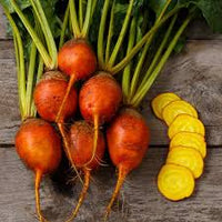 Boldor – Organic Golden Beet Seeds