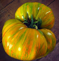 Tomato- Berkeley Tie Dye Green