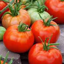 Tomato Marglobe Organic Vegetable Seeds