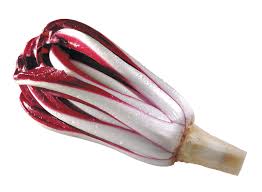 Chicory- Treviso Red