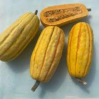 Winter Squash- Delicata 25g