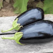 Thanos – Eggplant Seed