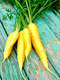 Carrot- Solar Yellow